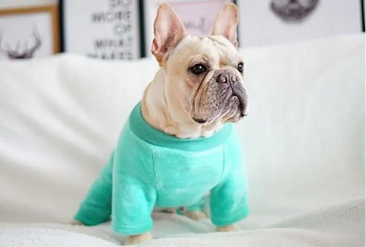 Come Together Cutie Fleece Pajamas