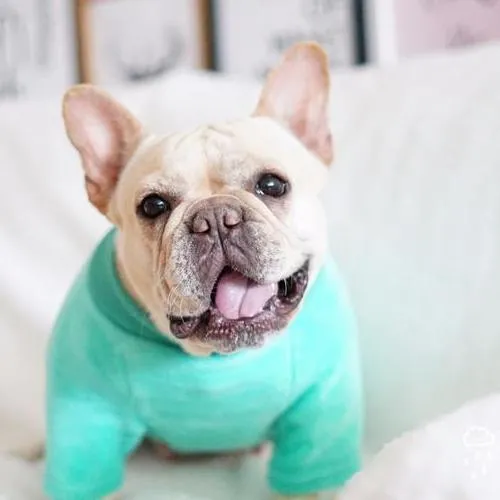 Come Together Cutie Fleece Pajamas