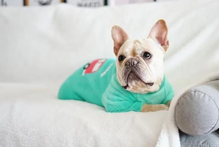 Come Together Cutie Fleece Pajamas