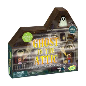 Ghost in the Attic